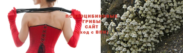 а пвп мука Кострома