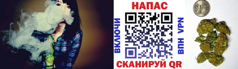 Купить закладки  Лосино-Петровский  Канабис ГИДРОПОН 
